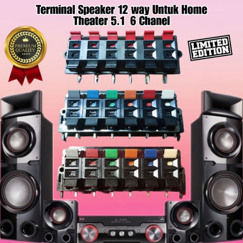 Terminal Speaker Untuk Home Theater 5.1 (6 Chanel 12 Connector)