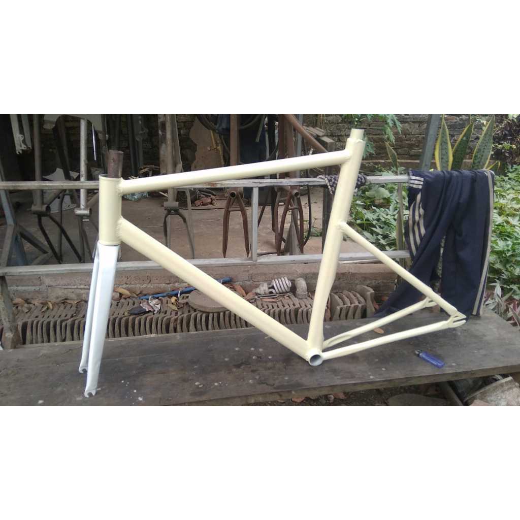 frameset fixie custostome model visp