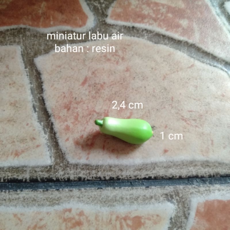 Miniatur Sayur Labu Air