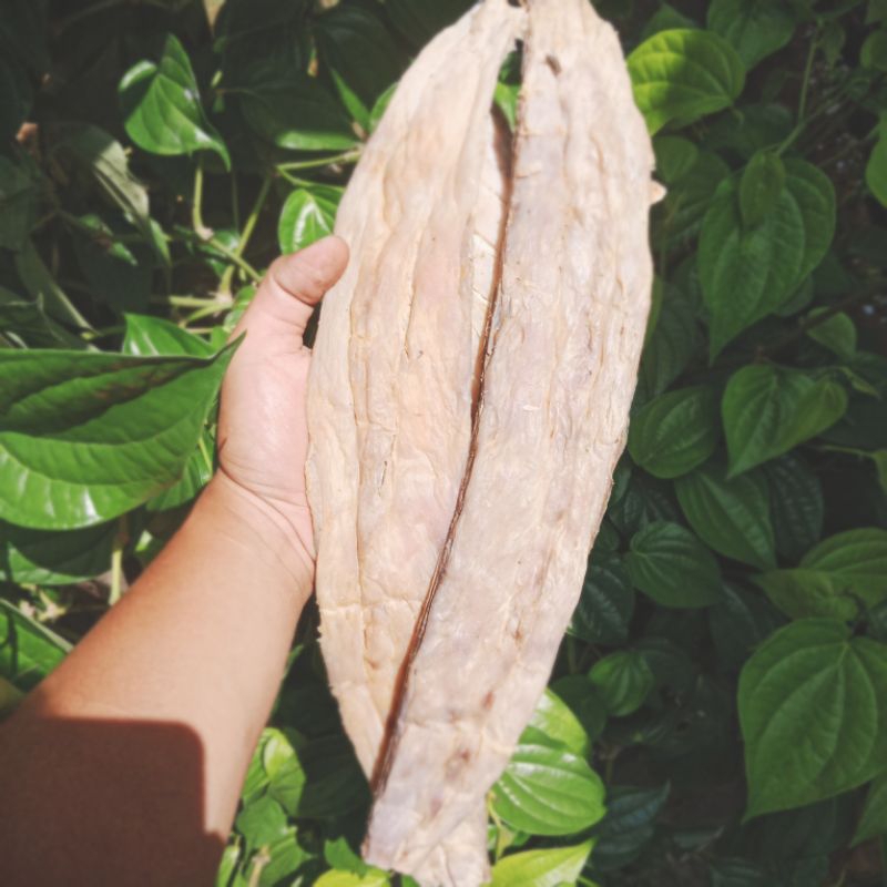 

IKAN TALANG ASIN KEMASAN 250 gr dan 500 gr, Asli Buatan Nelayan Kab. Kayong Utara