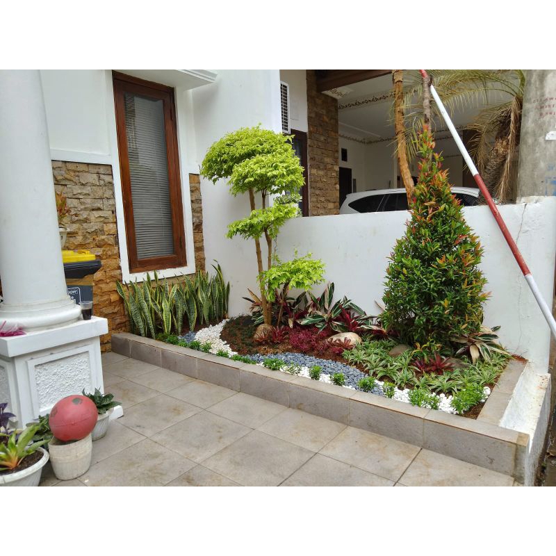 Jasa / Dekorasi pasang taman