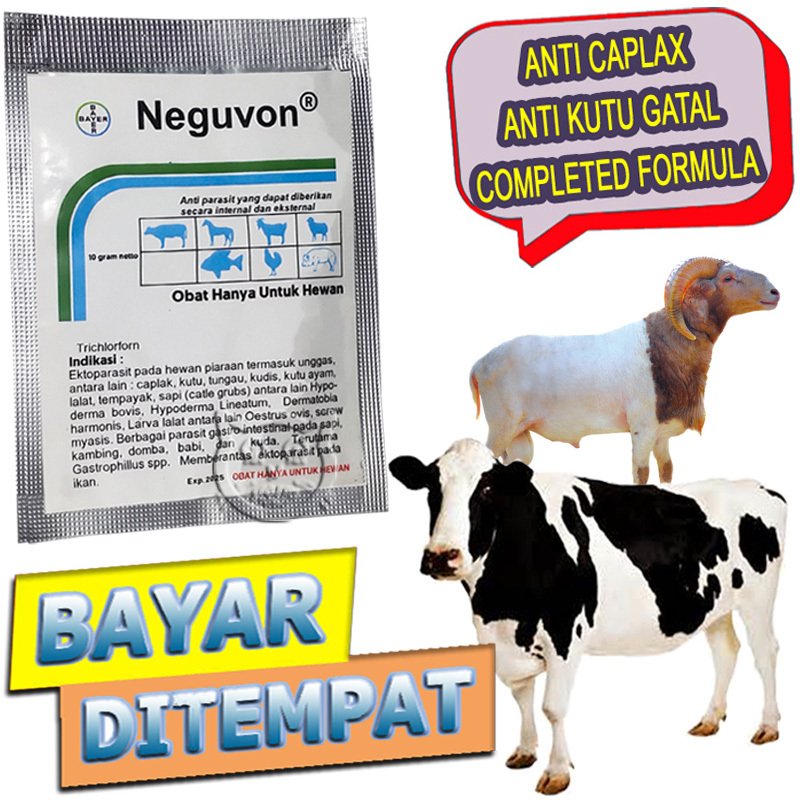 Neguvon Obat Anti Kutu Sapi Kerbau Basmi Parasit Kambing