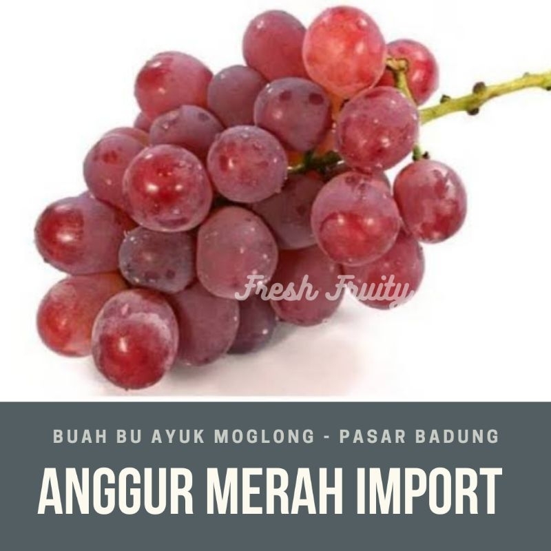 

anggur merah import