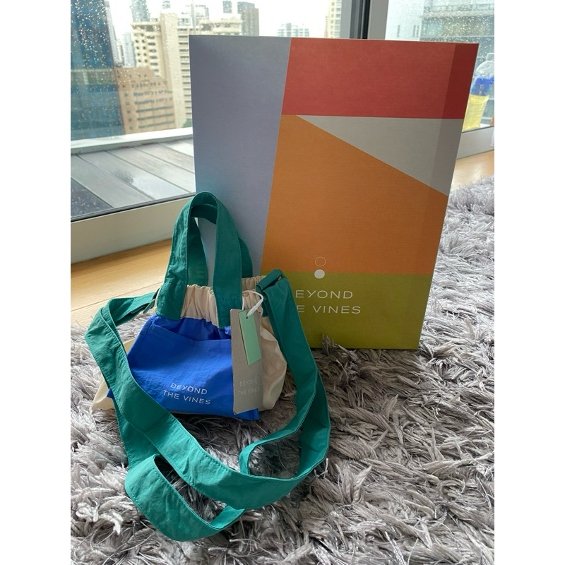 Beyond The Vines BTV Micro Dumpling Colourblock Bag Limited Edition