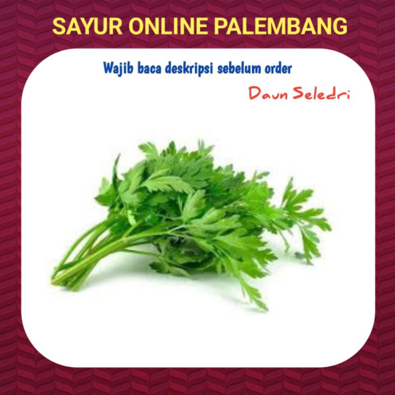 

Daun Sop Seledri Segar 100gram - Pasar Toko Warung Sayur Segar Online Palembang