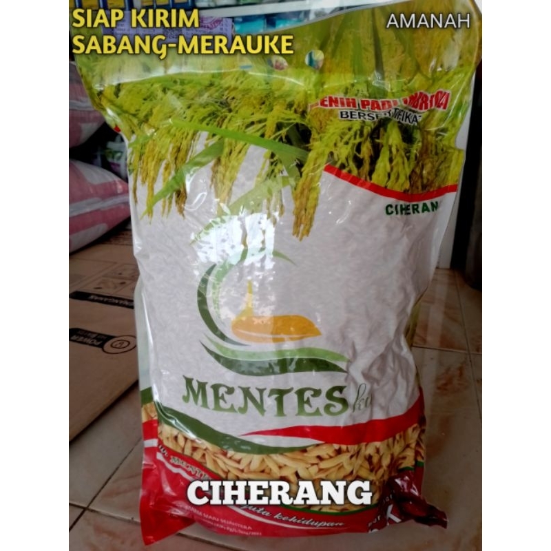 BENIH PADI MENTES VARIETAS CIHERANG UK 5 KG