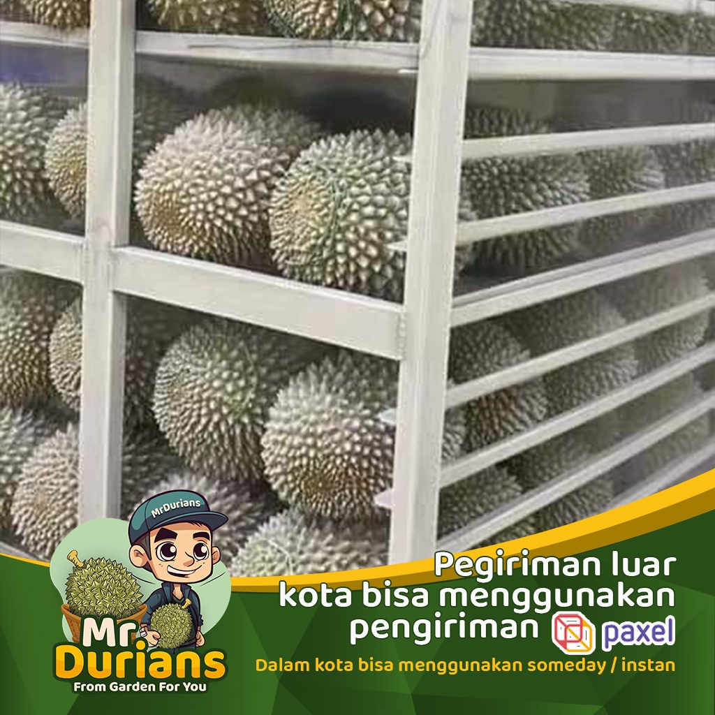 

Durian Musangking Nitrogen Utuh / Musangking frozen Utuh