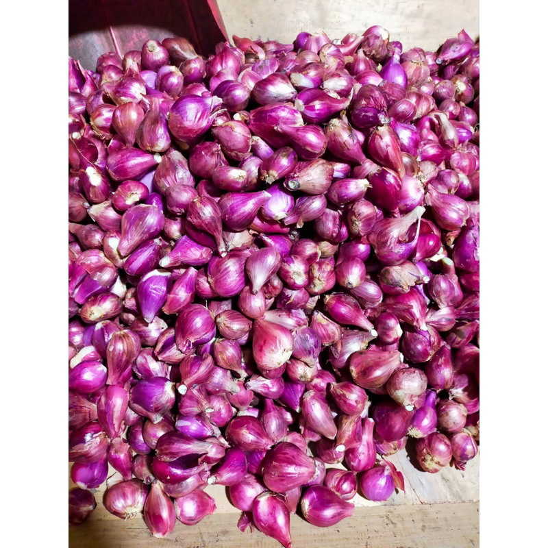 

Red Onion ( bawang merah ) fresh&pembelian di hitung harga perKG