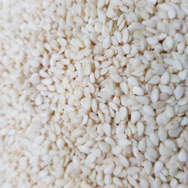 

Terlaris BIJI WIJEN PUTIH / WHITE SESAME SEEDS MENTAH 1 KG / GROSIR ➶⁎✶