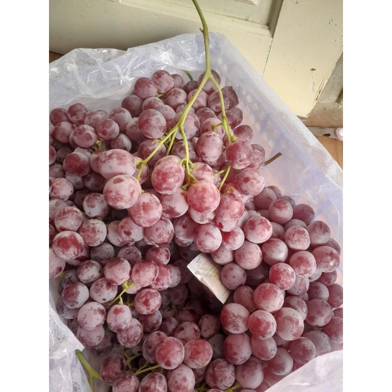 

anggur red dmx super manis1 krat -+7 kg hrg reseler4