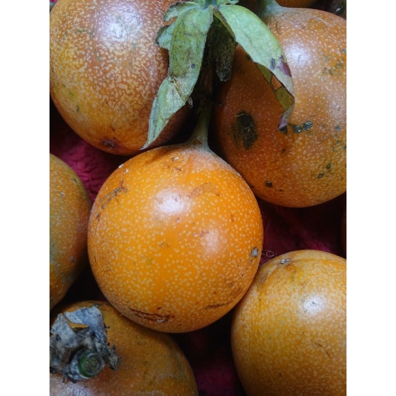 

MARKISA Madu 1kg/Konyal Manis