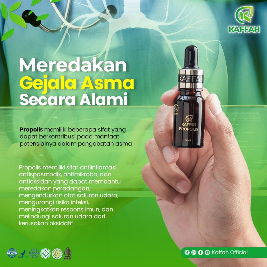 Herbal Pereda Asma Secara Alami Kaffah Propolis