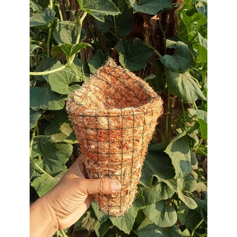 Pot gantung Sabut kelapa Untuk Tanaman/Pot Anggrek