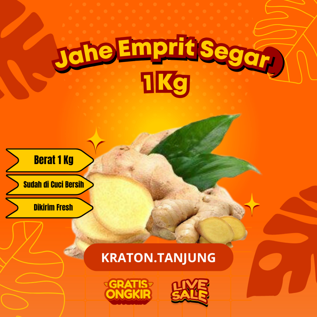 

Jahe Emprit Segar Sudah Cuci Bersih