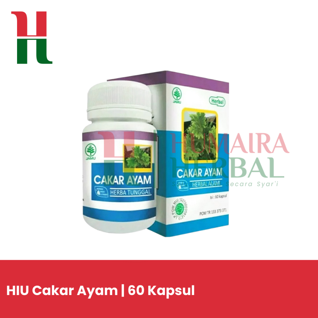 HIU CAKAR AYAM | 100% ASLI ORIGINAL | 60 KAPSUL