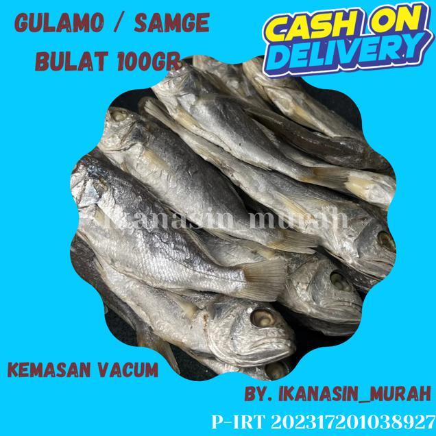 

IKAN ASIN GULAMO / SAMGE / KEPALA BATU 100GR / IKAN ASIN MURAH BISA COD