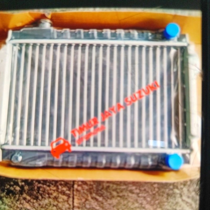 Radiator Carry 1.0 high quality