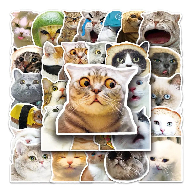

(COD) Ready 50pcs Sticker Meme Kucing | Stiker Kucing Lucu Tahan Air