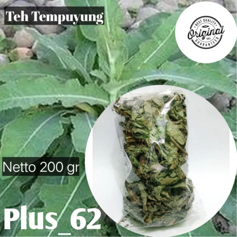 

Teh Daun Tempuyung Kering Per 100 Gram Obat Batu Ginjal