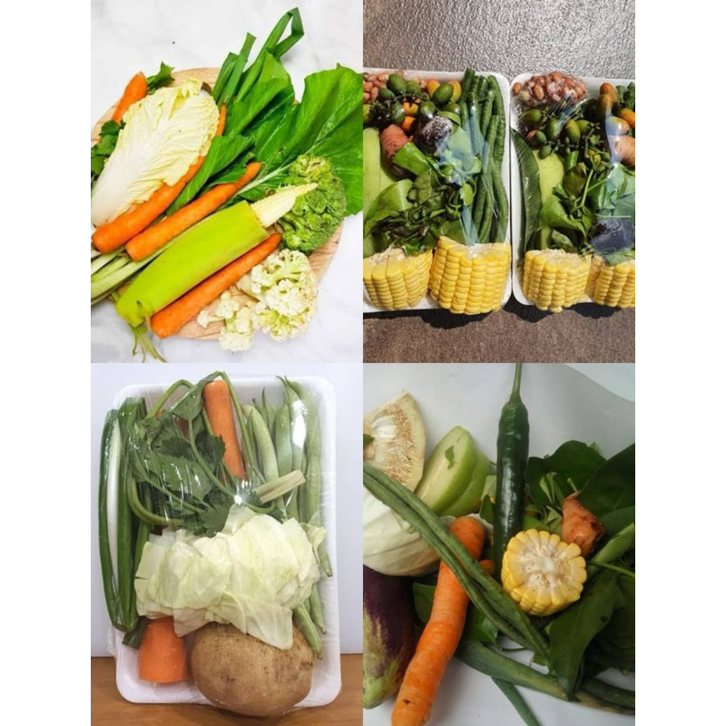 

Paket Sayur Sop / Sayur Asem / Sayur Lodeh / Capcay