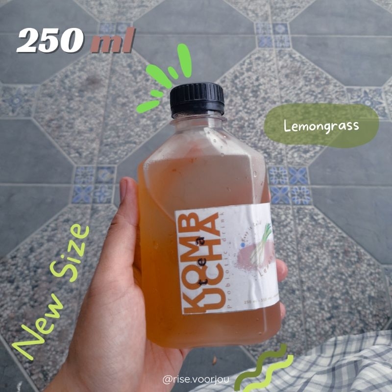 

Probiotic Kombucha Tea 250 ml | [ LEMONGRASS ] Sereh | Serai | Detox | Teh Kombucha | by rise.voorjou | Minuman Probiotik