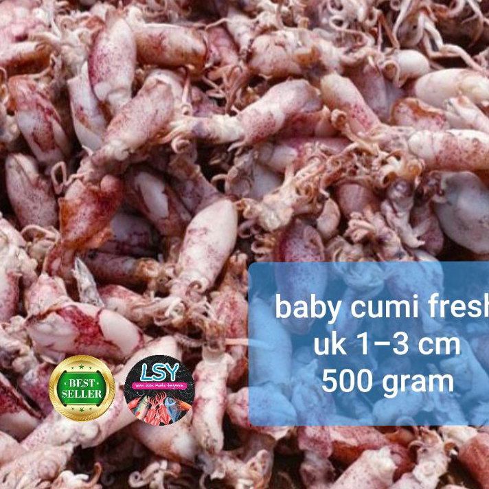 

Kirim Langsung ikan asin baby cumi / cumi asin / cumi rebus 78 berat 500gram