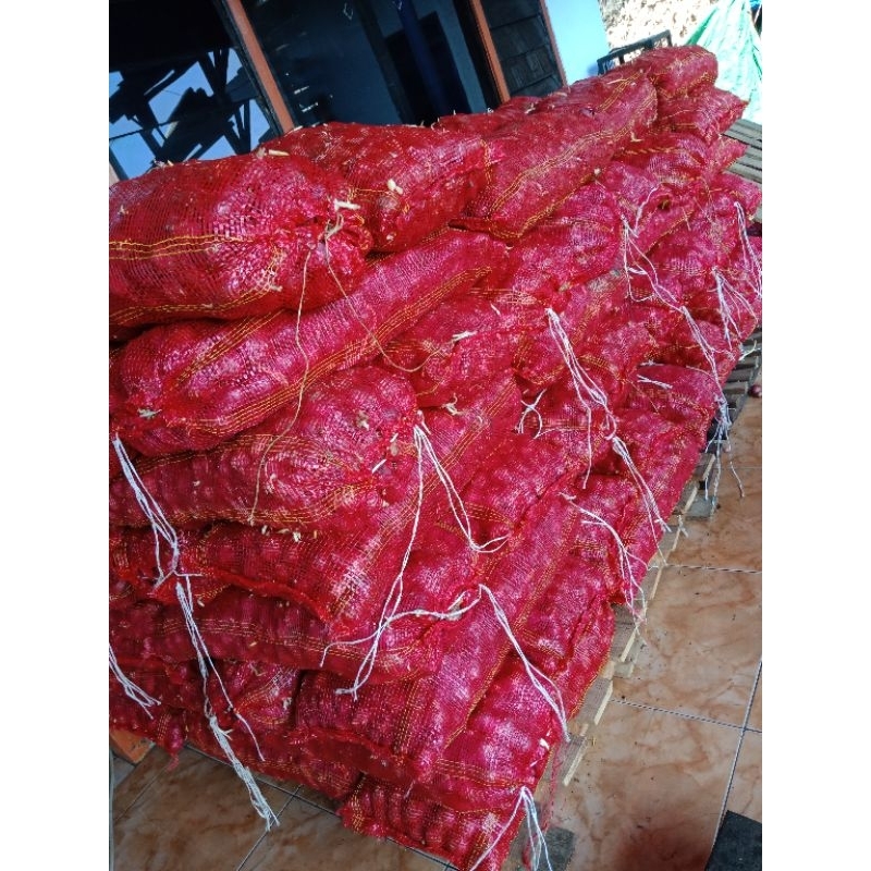 

bawang merah locos padang 1 kg