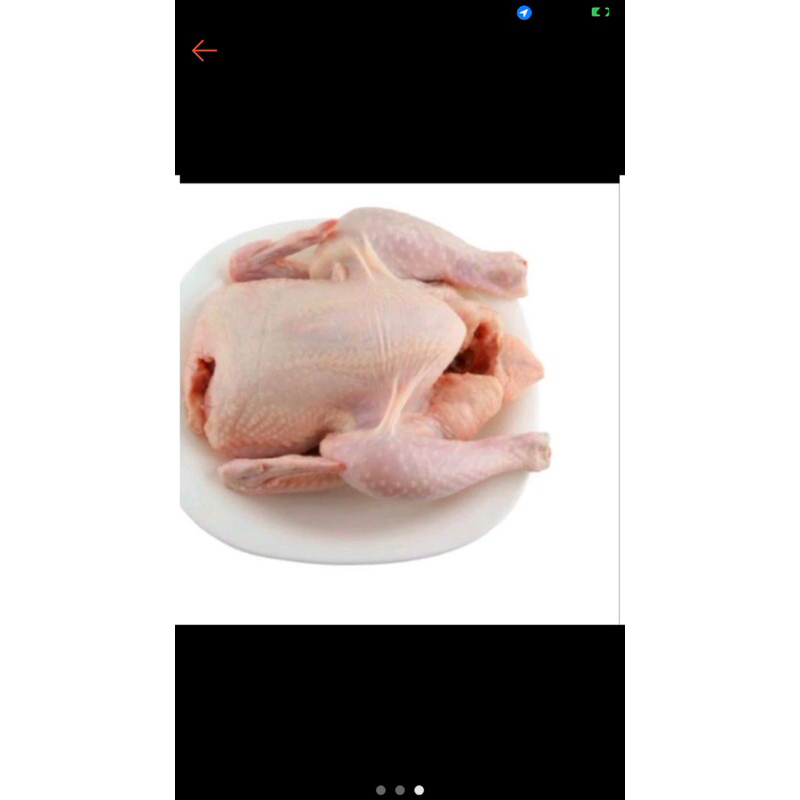 

ayam frozen 1kg