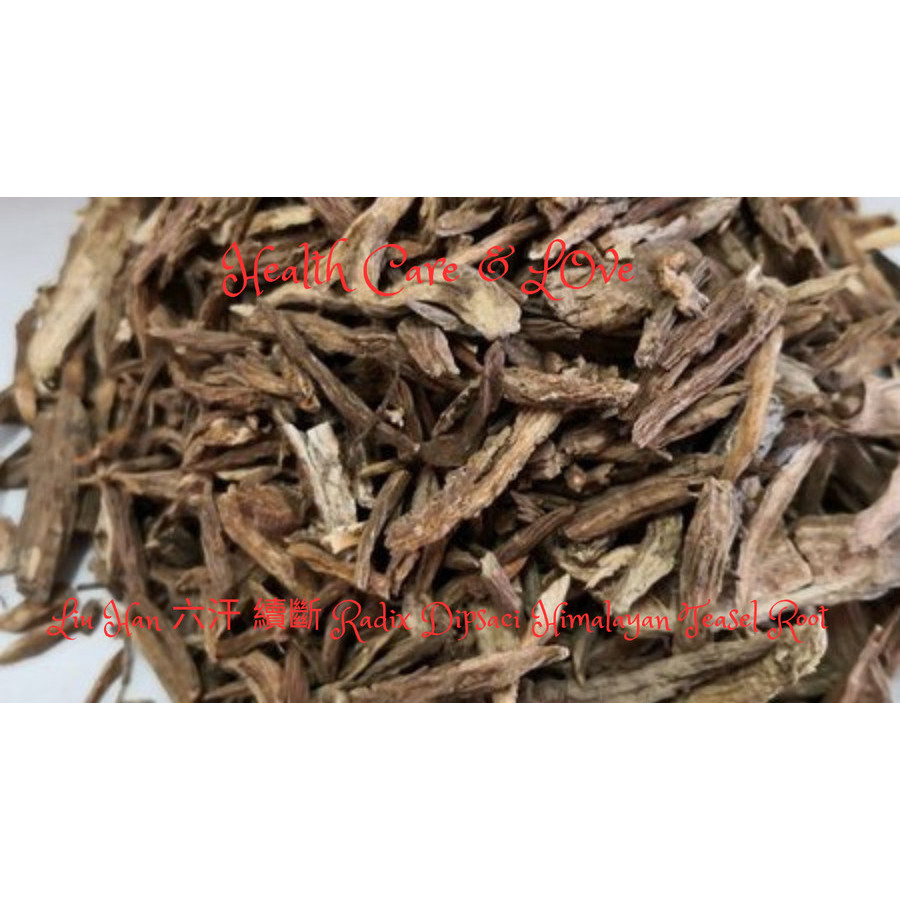 

Liu Han 六汗 續斷 Radix Dipsaci Himalayan Teasel Root 50 Gr
