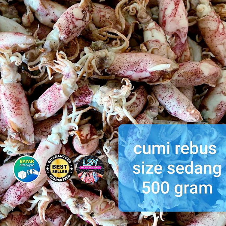 

Diskon ikan asin Cumi rebus/ sotong rebus size sedang 500gr Ready Stock