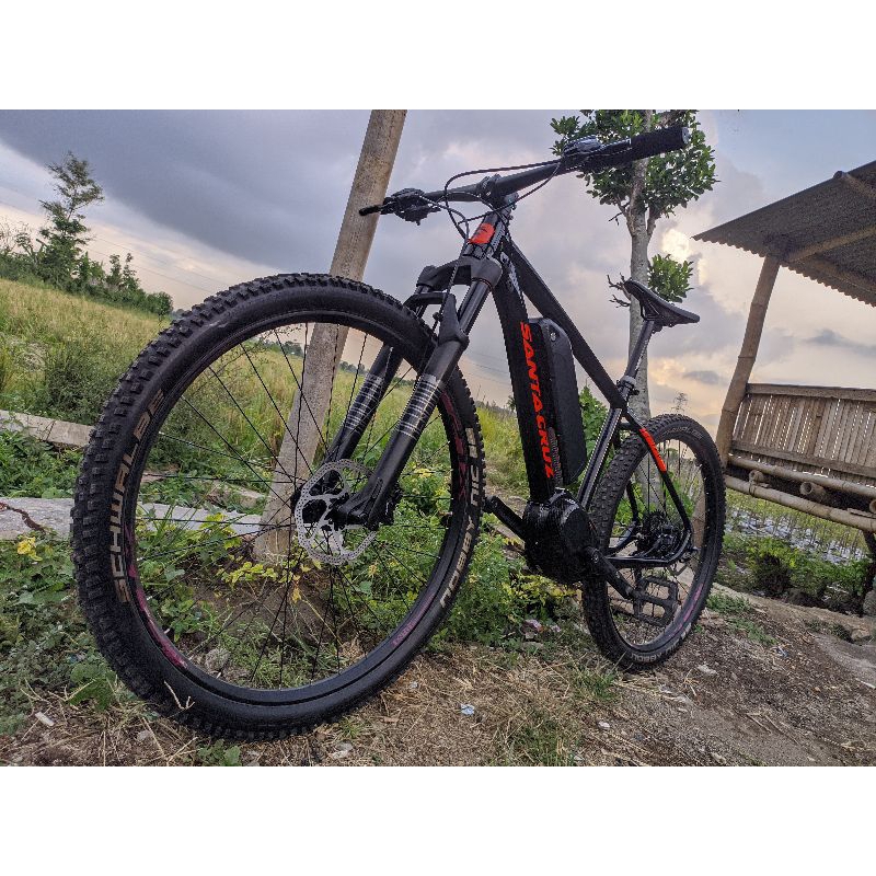 ebike custom