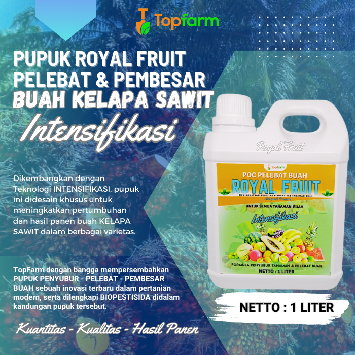 Pupuk Kimia Pelebat Buah / Pupuk Booster Kelapa Sawit / Pupuk Kelapa Sawit Terbaik / Pupuk Pelebat B