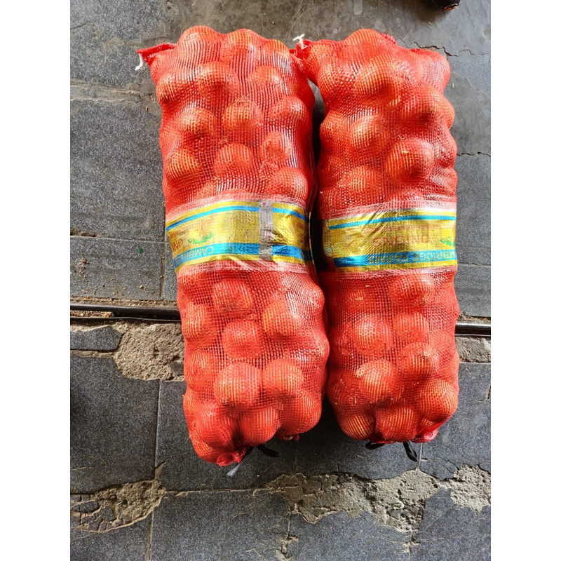 Bawang Bombay Putih 20Kg