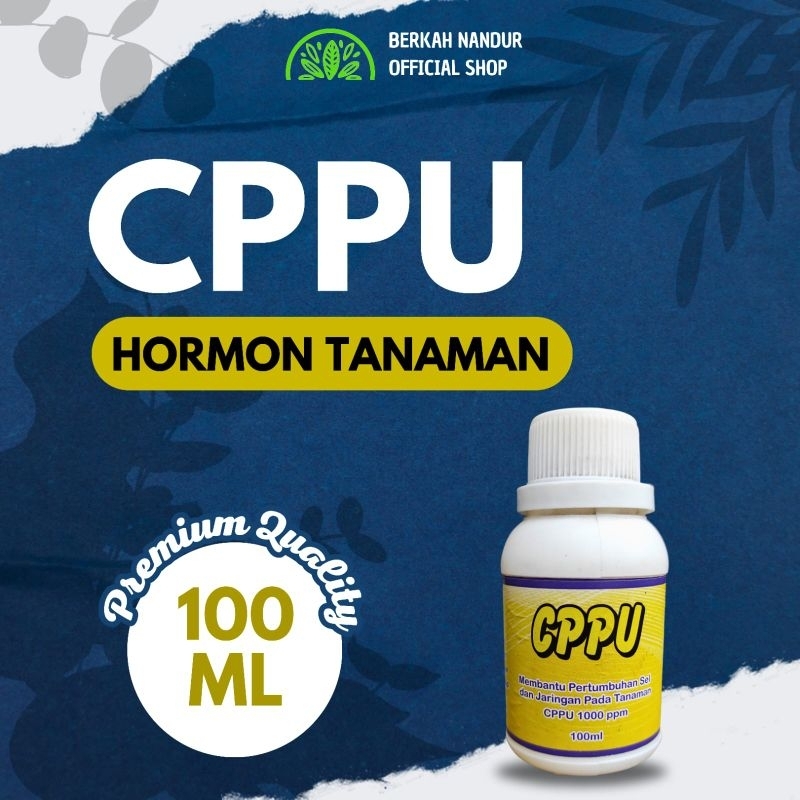 Hormon CPPU Tanaman Buah
