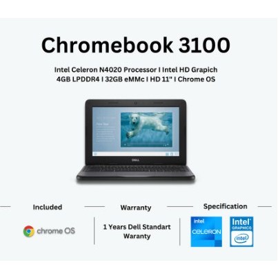 [FREE OFFICE365] LAPTOP Dell Chromebook 3100 4/32GB Non Touch