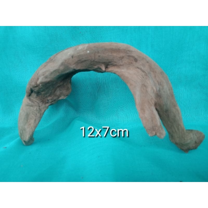 kayu rentek mini ful rendam