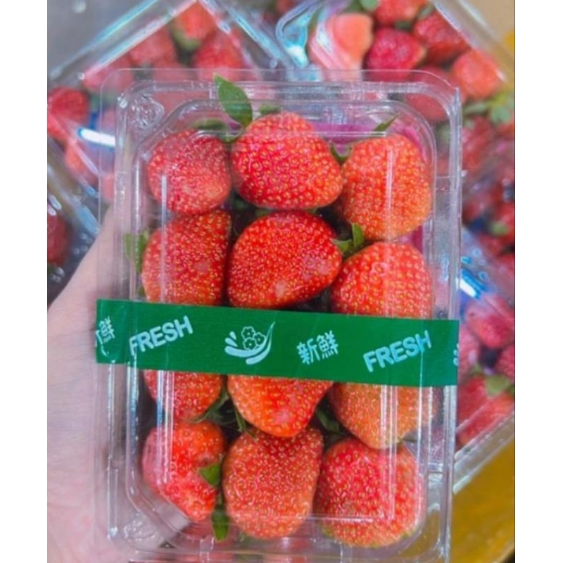 

STRAWBERRY FRESH 1 PACK/BUAH STRAWBERRY FRESH