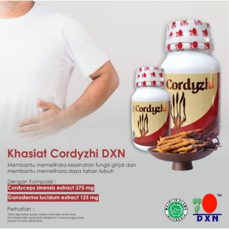 Cordyzhi DXN isi 90kapsul