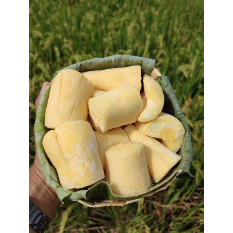 

Tape besek ready