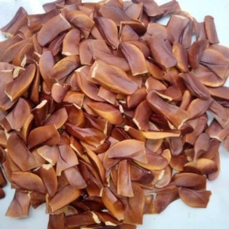 Biji buah mahoni premium kering kulit kupas