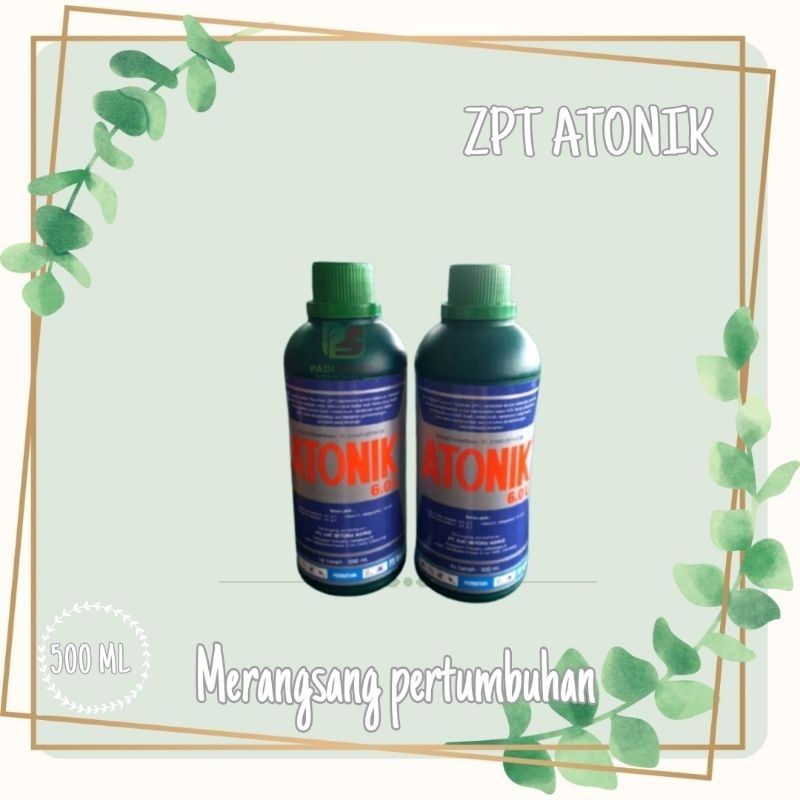 ZPT ATONIK 500ml