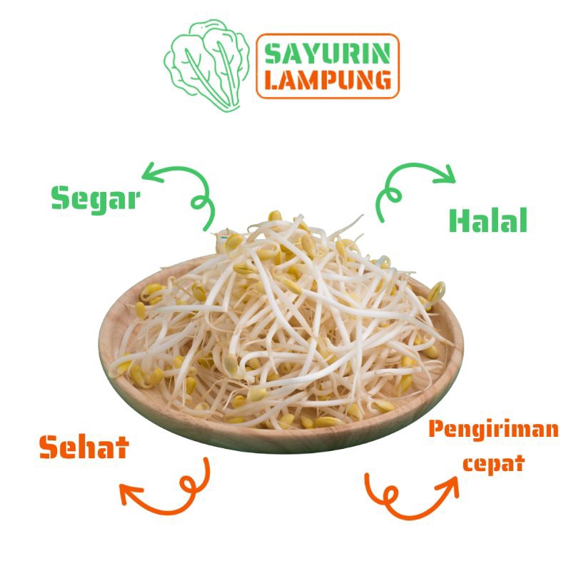 

toge kecambah segar 250gr - SAYURin LAMPUNG