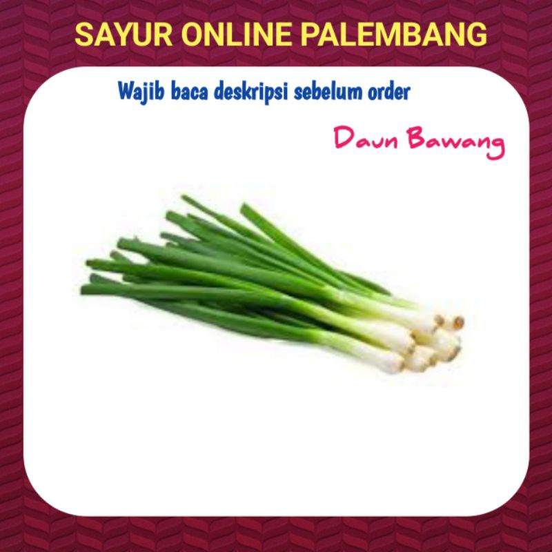 

Daun Bawang Per 100gram - Pasar Toko Sayur Segar Palembang