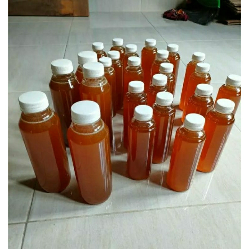 

MADU ASLI TAWON LIAR ATAU TAWON HUTAN