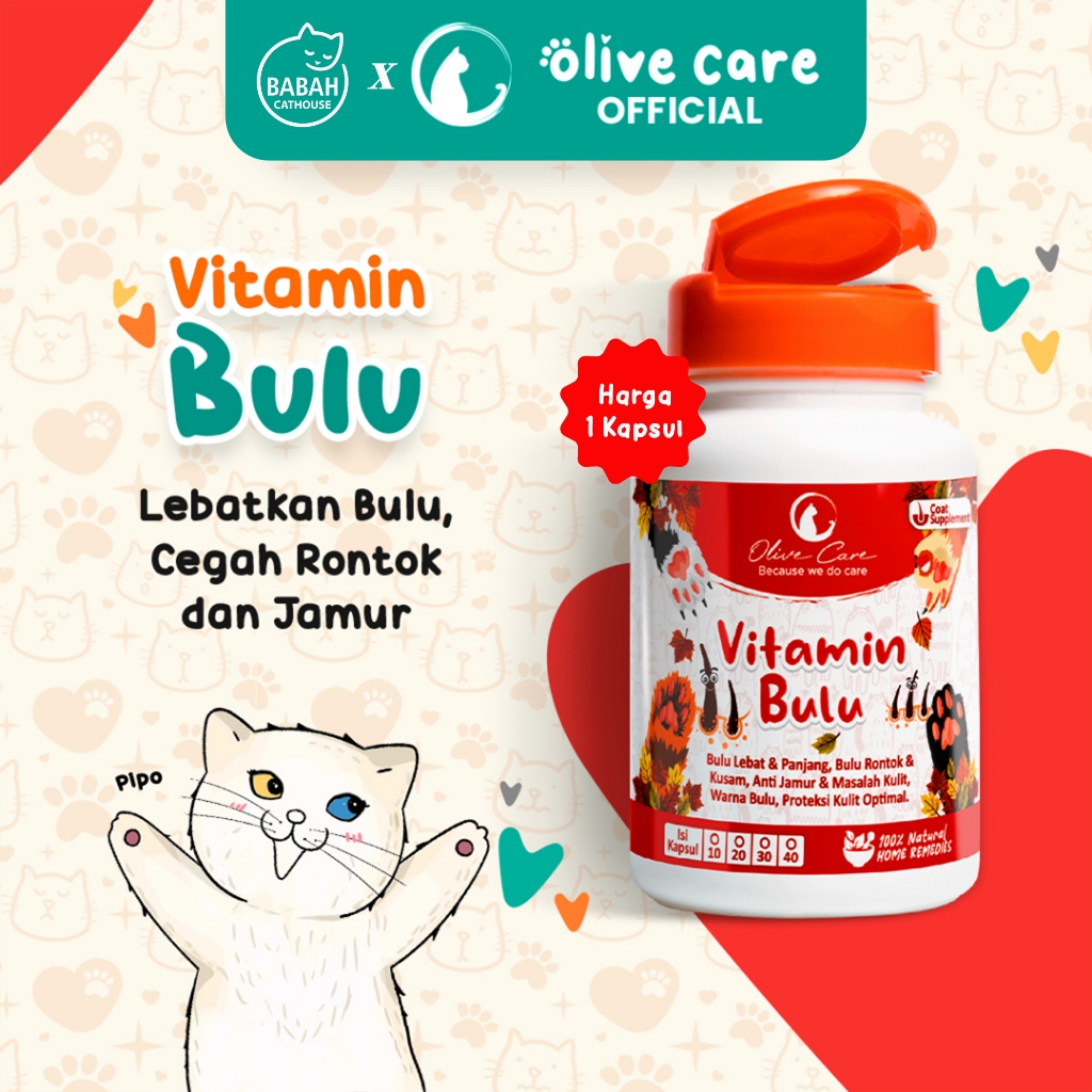 Olive Care Vitamin Kucing BULU untuk Pelebat Bulu Panjang Lebat Halus Warna Indah Cegah Jamur Ampuh dan Obat Pencegah Rontok Murah Penumbuh Kitten Anak Anakan Adult Dewasa Persia Kampung