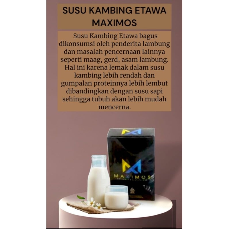 

Susu kambing etawa maximos