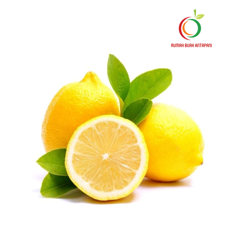 

Jeruk Lemon Import Segar 500 Gram