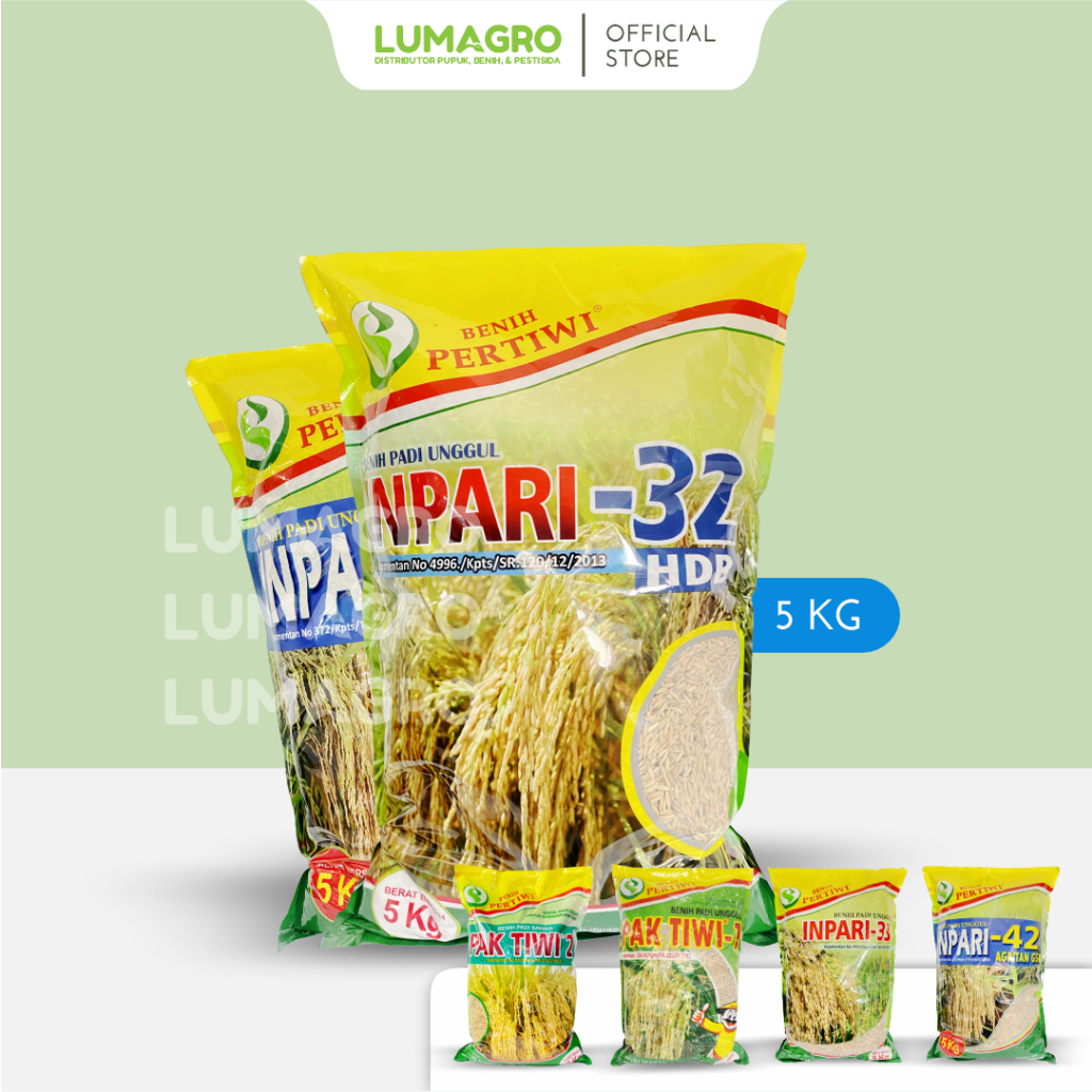 Benih Padi Pertiwi 5kg Bibit Inpari 32 33 42 Pak Tiwi 1 dan 2 Premium Pari Jumbo 5 Kg