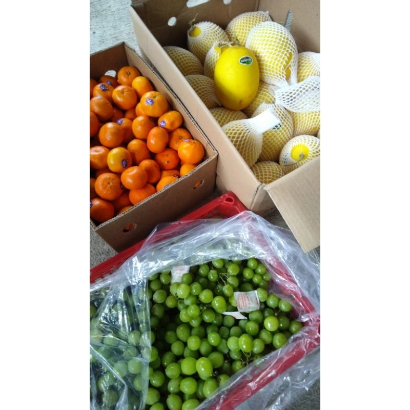 

Jeruk kupas Affourer Australia 1kg