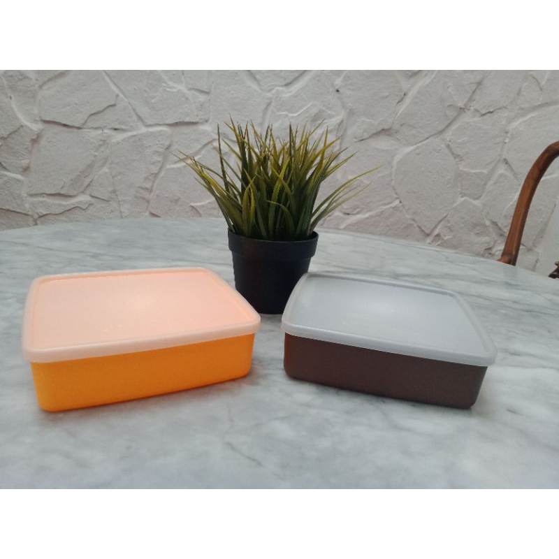 Tupperware Large Square Away Lunch Box